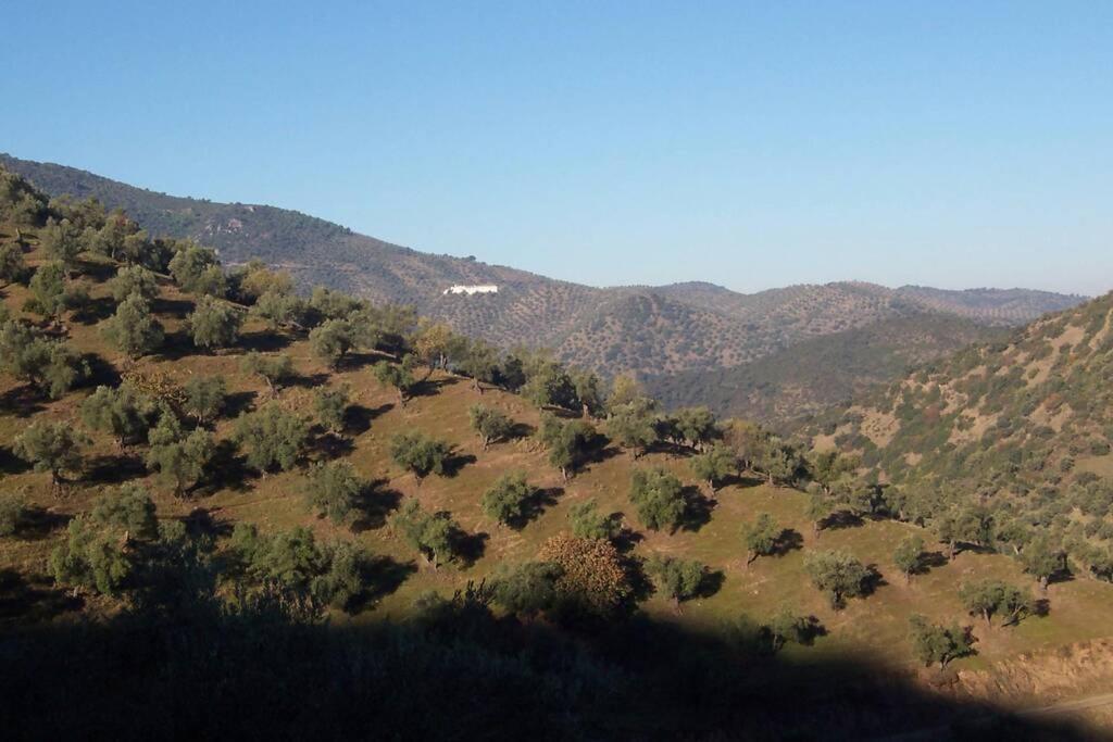Cortijo "Era Grande 2" Villa Кордоба Екстериор снимка