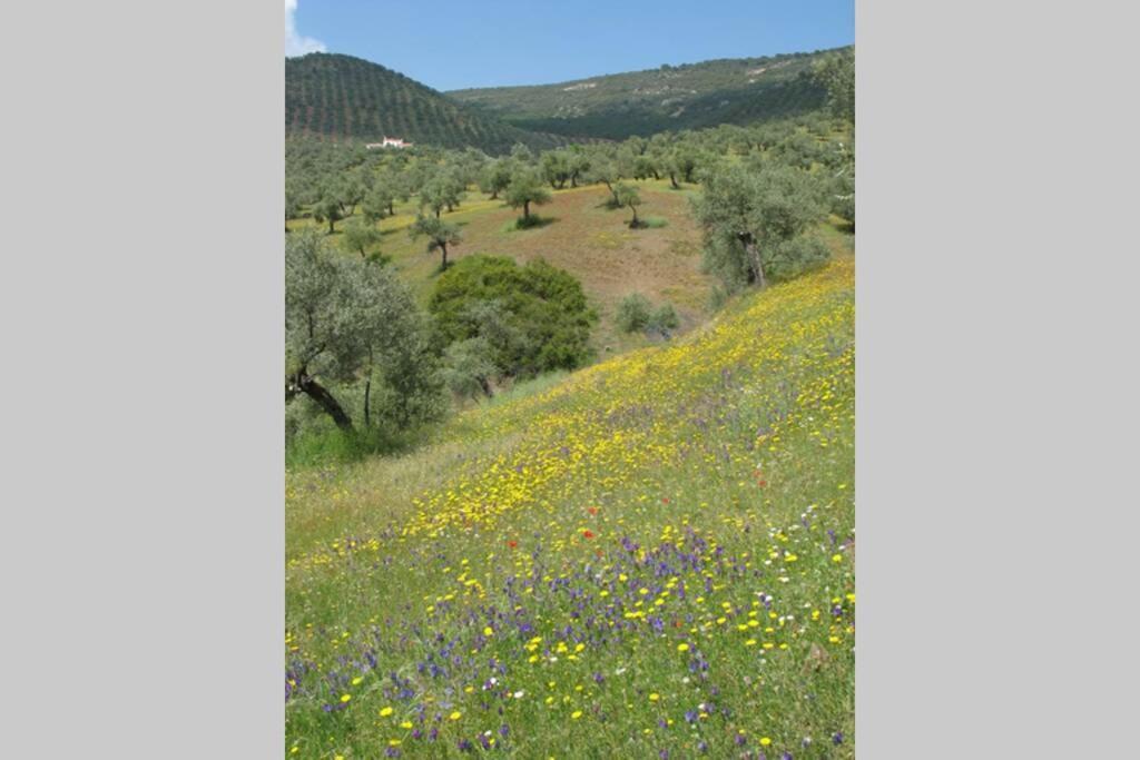 Cortijo "Era Grande 2" Villa Кордоба Екстериор снимка