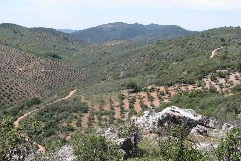 Cortijo "Era Grande 2" Villa Кордоба Екстериор снимка