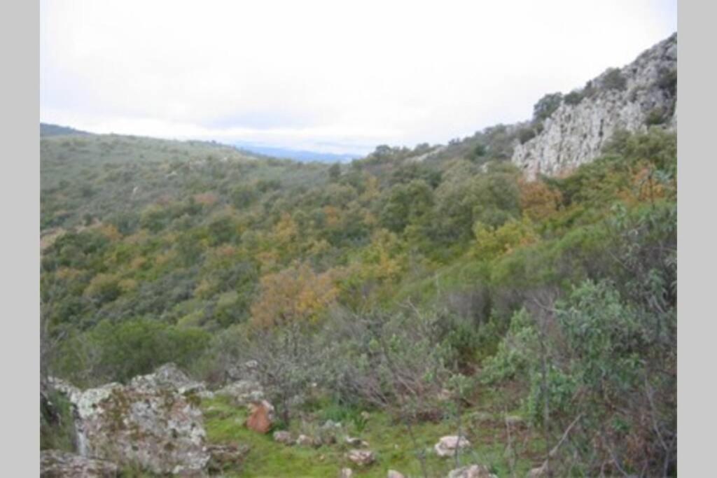 Cortijo "Era Grande 2" Villa Кордоба Екстериор снимка