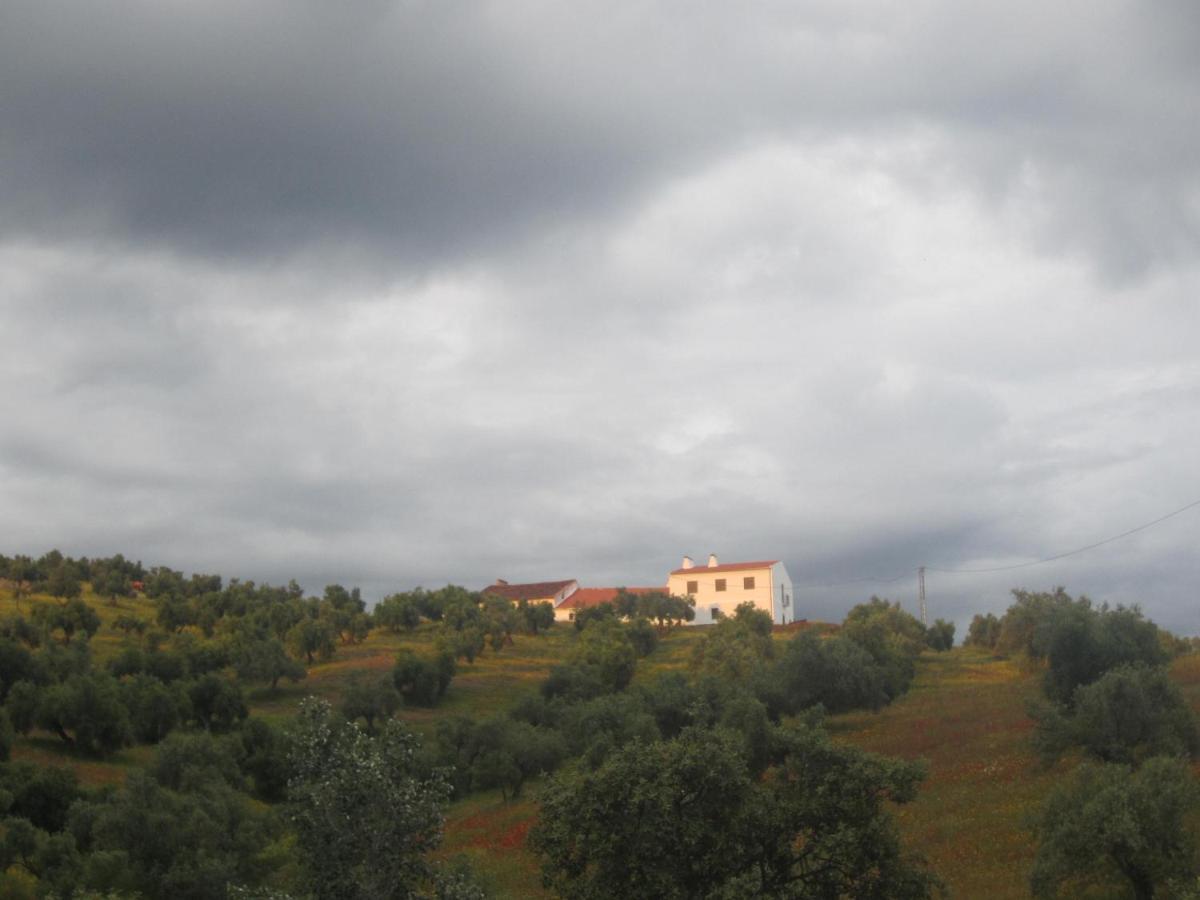 Cortijo "Era Grande 2" Villa Кордоба Екстериор снимка