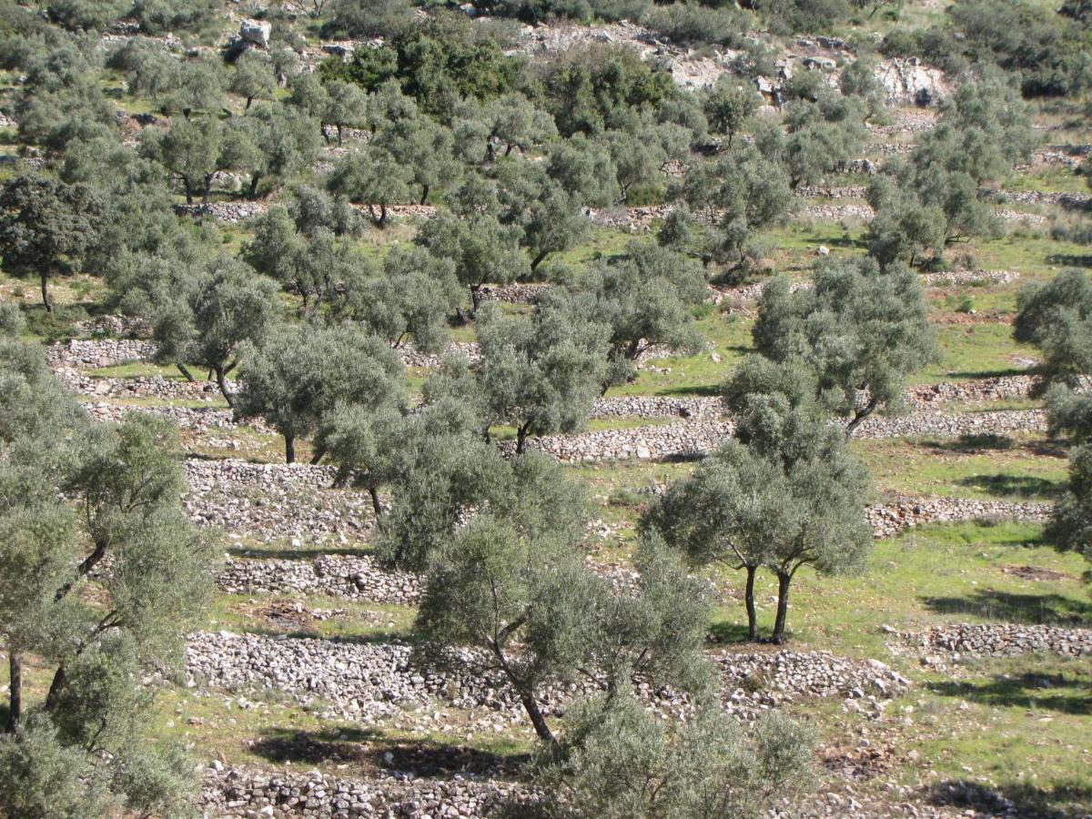 Cortijo "Era Grande 2" Villa Кордоба Екстериор снимка